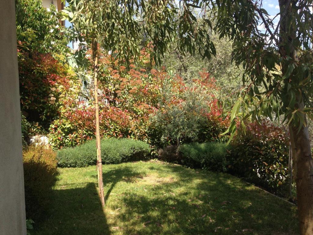 Villa 5* St Pancrace Nice